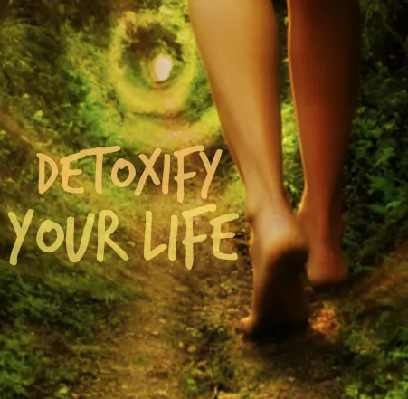 Detoxify Your Life