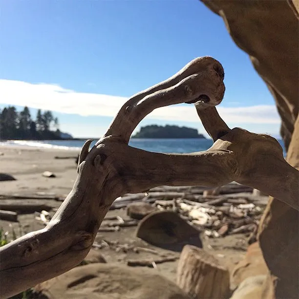 ET Phone home - Inelia Benz