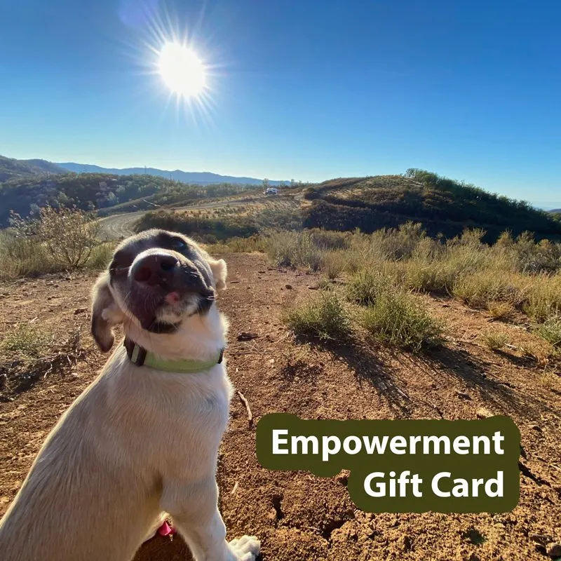 $77.00 Gift Card