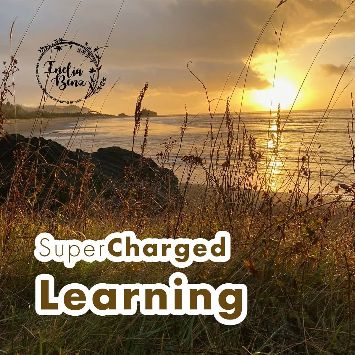 Super-Charged Learning - by Inelia Benz