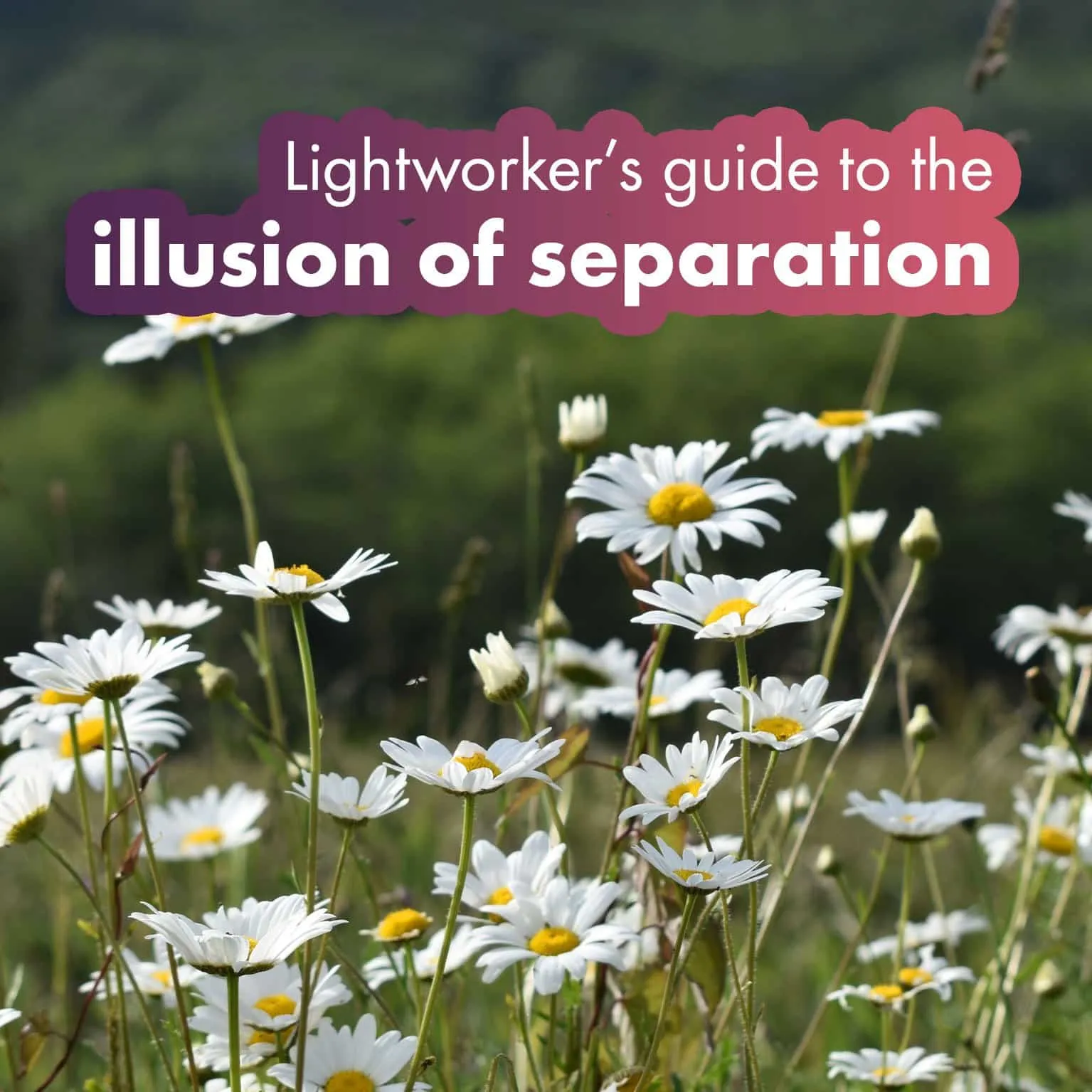Lightworker's guide to the illusion of separation
